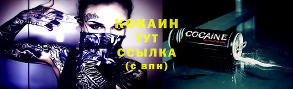 твердый Новодвинск