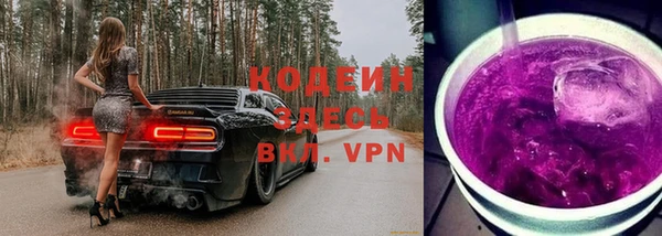 СК Абинск